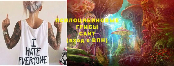 mix Алексин