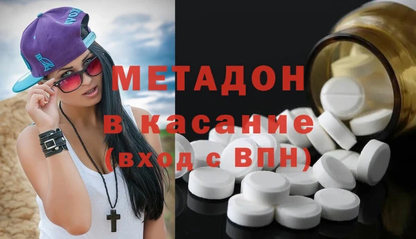 прущие грибы Алзамай